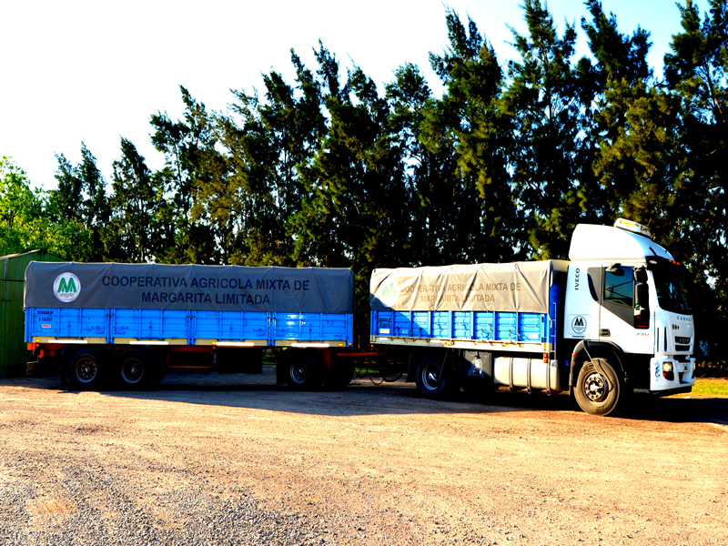 Transporte