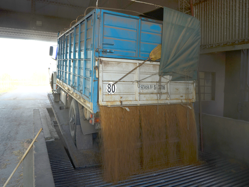 Transporte