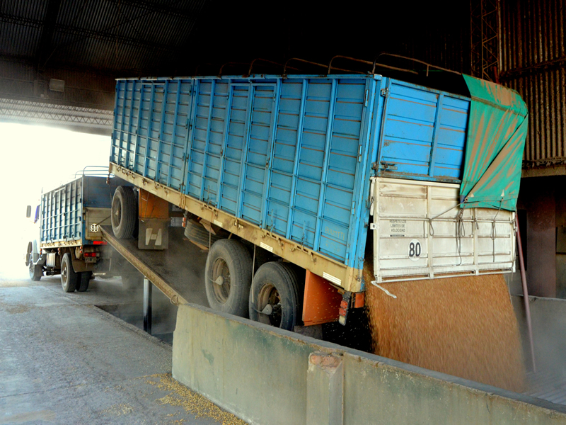 Transporte
