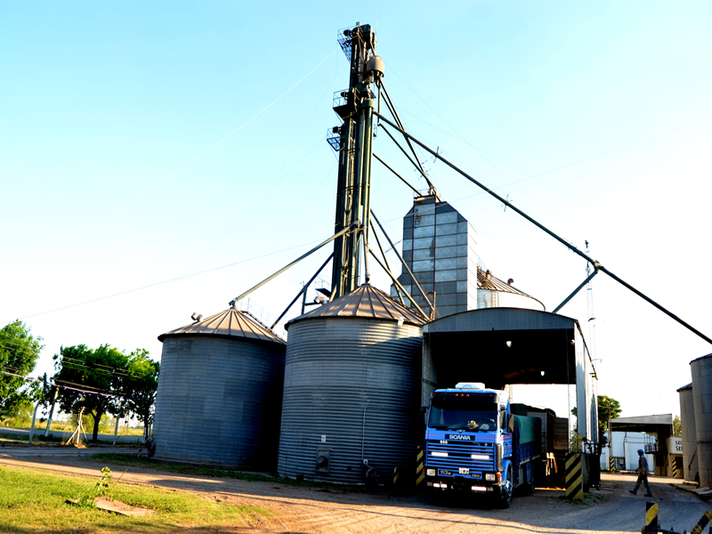 Transporte